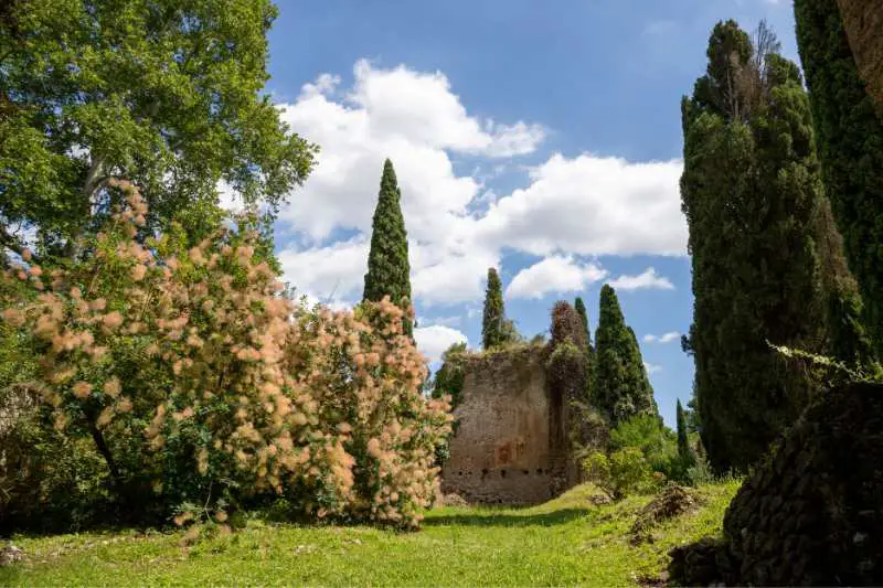 Garden of Ninfa, Latina